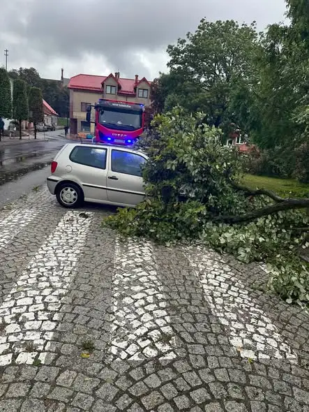 Powalone drzewo uszkodziło samochód na radziejowskim Rynku