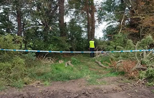 Śmiertelny wypadek przy wycince drzewa w powiecie radziejowskim