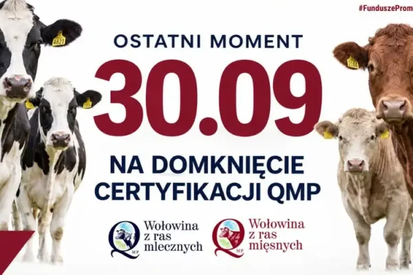 Certyfikat QMP – ostatni dzwonek dla rolników. Termin mija 30 września
