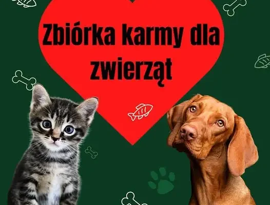 Szkolna zbiórka karmy dla zwierząt – październik miesiącem dobroci