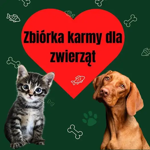 Szkolna zbiórka karmy dla zwierząt – październik miesiącem dobroci