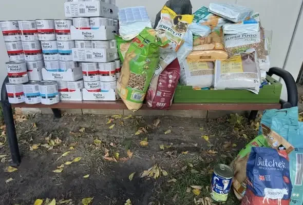 Uczniowie z Radziejowic wsparli bezdomne zwierzęta – wielka zbiórka darów