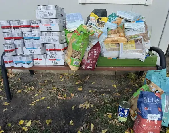 Uczniowie z Radziejowic wsparli bezdomne zwierzęta – wielka zbiórka darów