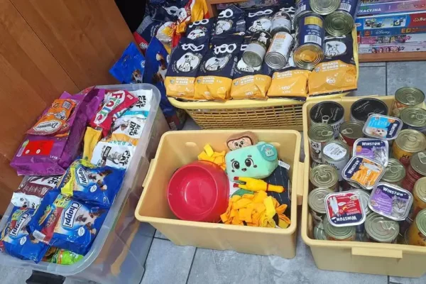Ostatnia szansa na pomoc zwierzakom – zbiórka w świetlicy szkolnej do 30 października