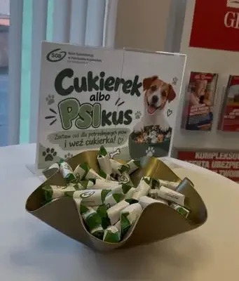 Zbiórka karmy dla psów w placówkach w Dąbrowie Biskupiej, Zbójnie, Golubiu-Dobrzyniu, Piotrkowie Kujawskim, Bytoniu i Radziejowie